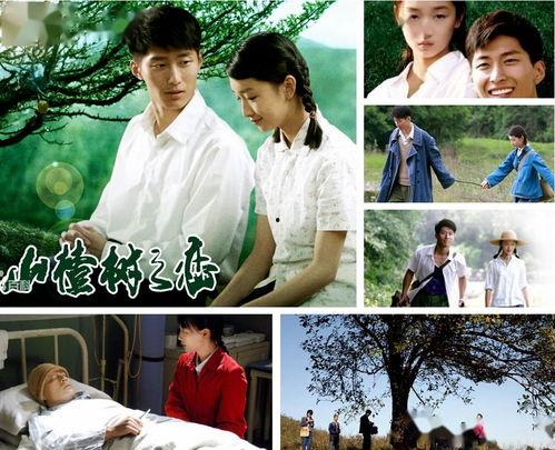 山楂树之恋电影背景